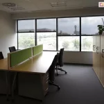 Wnętrze nowoczesnego biura typu open space z widokiem na zamontowane w oknach refleksole XS Selt. Tkanina w kolorze antracytowym o drobnym splocie pozwala na zachowanie widoczności na zewnątrz (panoramę miasta z drzewami i infrastrukturą), jednocześnie eliminując odblaski na ekranach monitorów i redukując nagrzewanie pomieszczenia. W biurze znajdują się biurka z jasnozielonymi panelami akustycznymi, ergonomiczne fotele biurowe oraz wysoka zabudowa szaf dokumentowych w kolorze jasnego drewna. Na suficie widoczne są systemowe oprawy oświetleniowe i anemostat klimatyzacji.