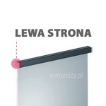 Lewa