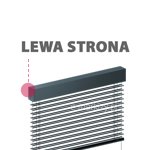 Lewa