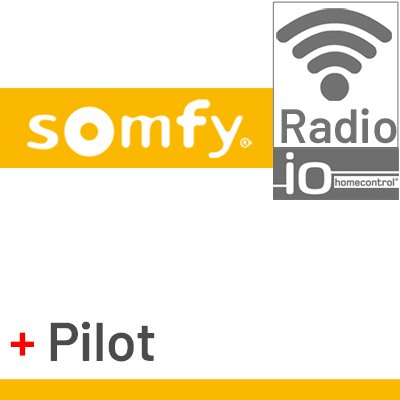 Silnik Somfy Sunea IO z wbudowaną centralką i pilotem bezprzewodowym