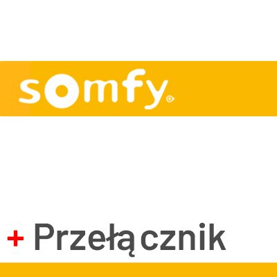 Silnik Somfy Gemini bez aw. otwierania z przełącznikiem ściennym