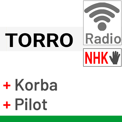 Silnik Torro z awaryjnym otwieraniem, wb. centralką i pilotem bezprzewodowym