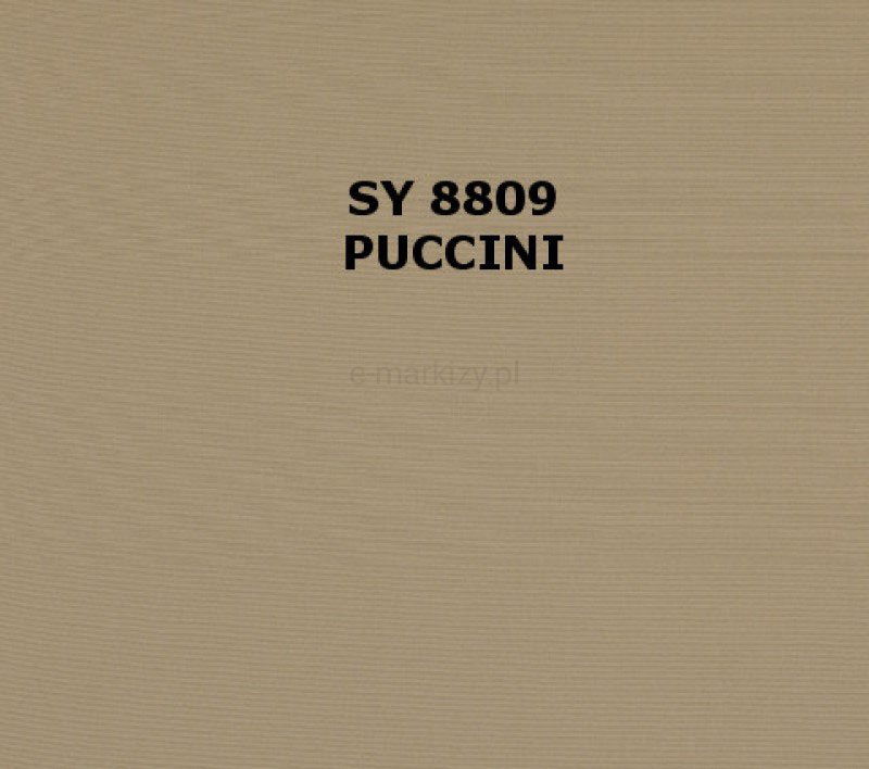SY-8809