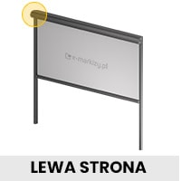 Lewa