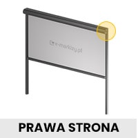 Prawa