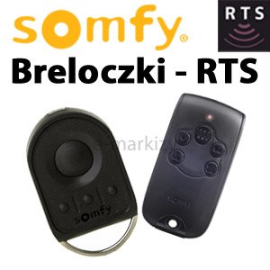 Schlüsselanhänger RTS Somfy