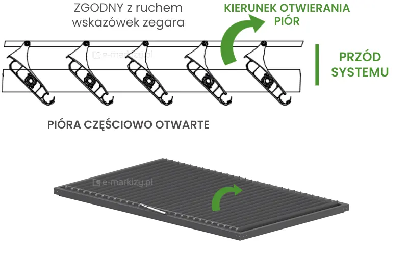 pióra lameli obracają się zgodnie z kierunkiem wskazówek zegara